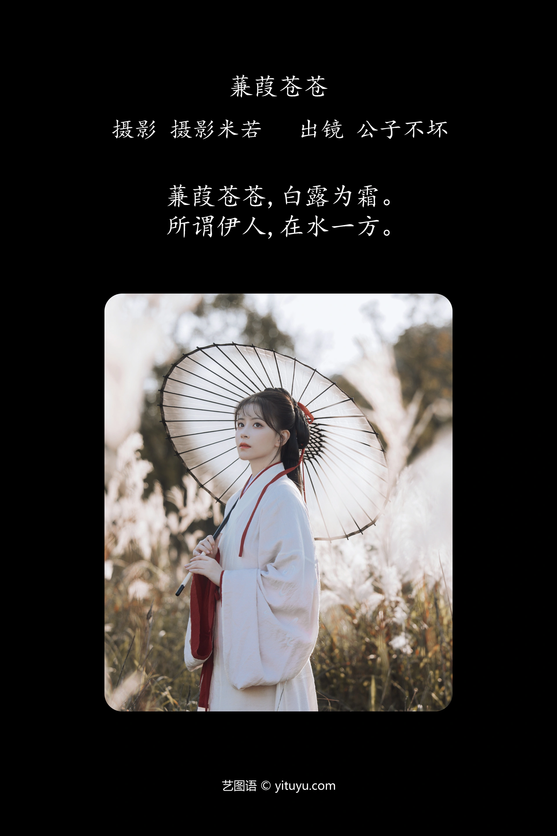 [YITUYU艺图语]2023.12.20 蒹葭苍苍 公子不坏 0