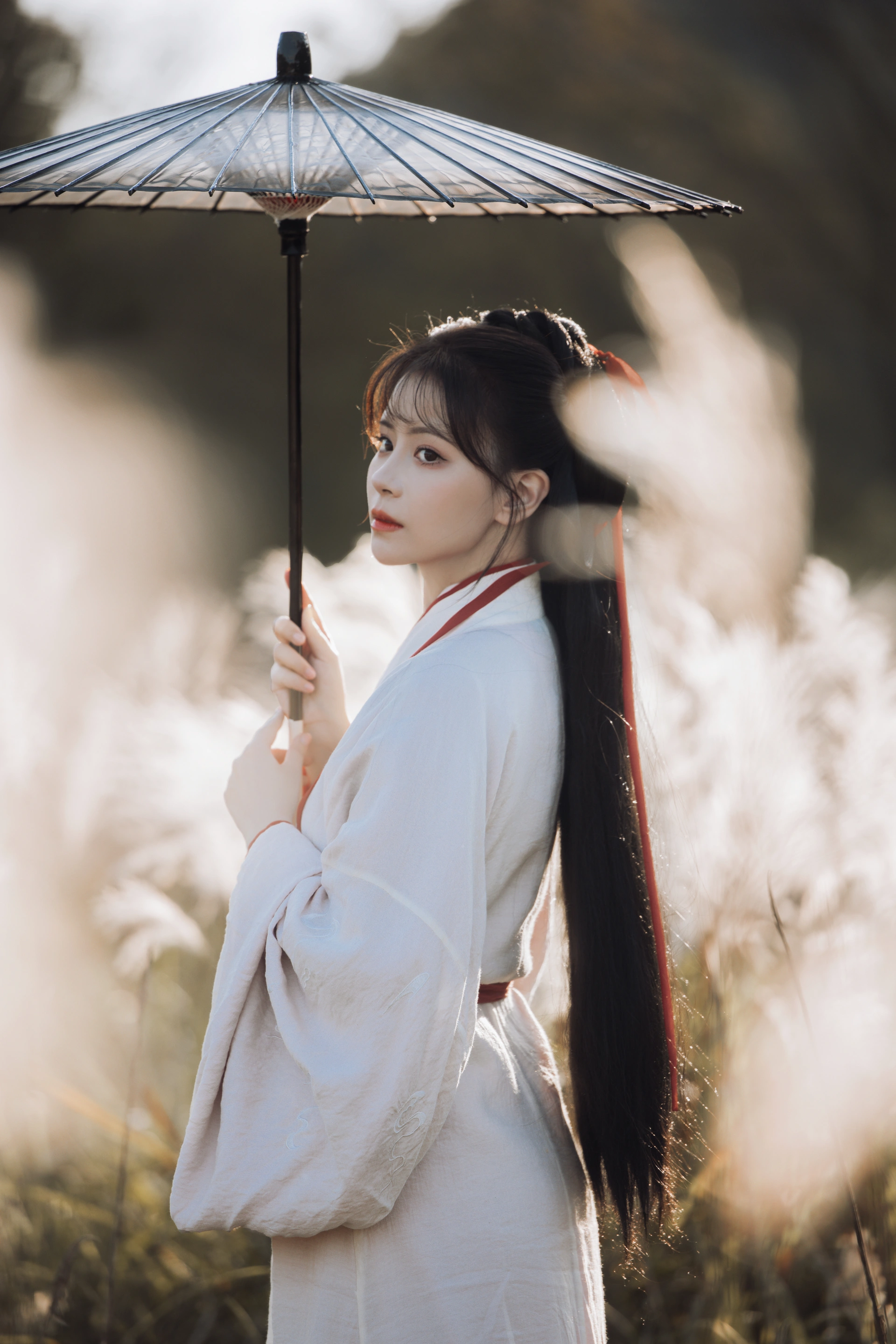 [YITUYU艺图语]2023.12.20 蒹葭苍苍 公子不坏 1