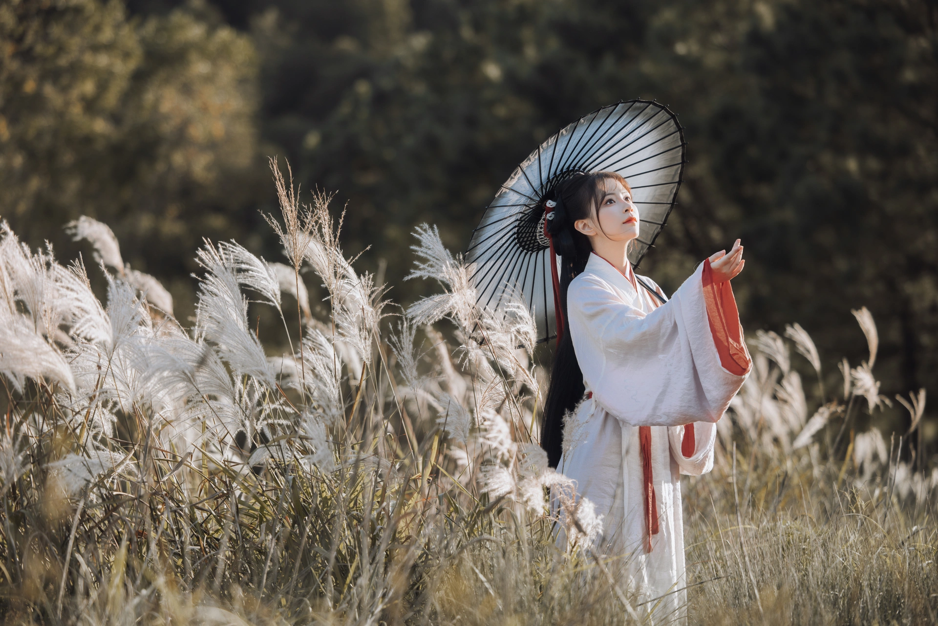 [YITUYU艺图语]2023.12.20 蒹葭苍苍 公子不坏 2